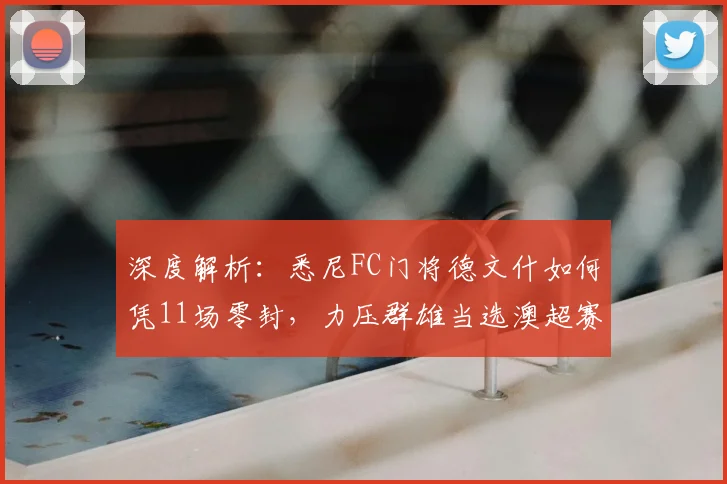 深度解析：悉尼FC门将德文什如何凭11场零封，力压群雄当选澳超赛季最佳门将？