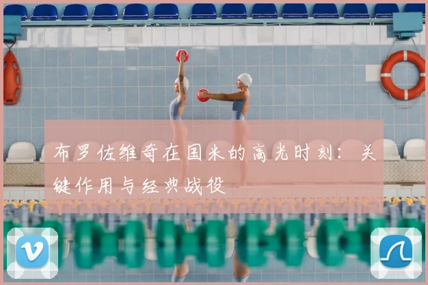 布罗佐维奇在国米的高光时刻:关键作用与经典战役
