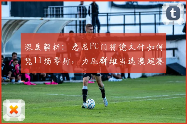 深度解析:悉尼FC门将德文什如何凭11场零封,力压群雄当选澳超赛季最佳门将?